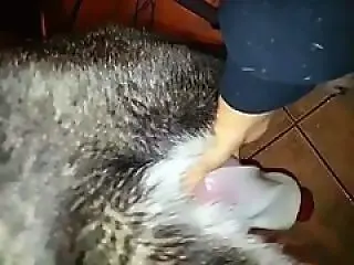 ZoophilClub