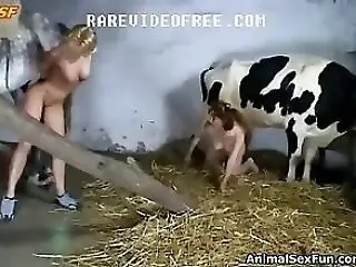 XXX Bestiality Porn
