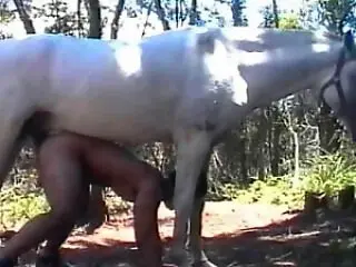 Bestiality Video