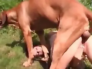 XXX Animal Porn