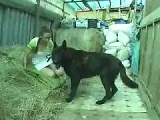 Zoo porn and zoo sex video