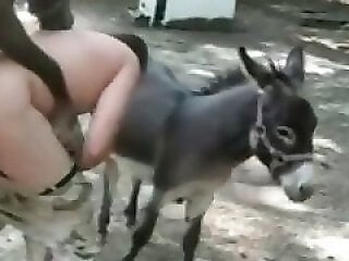 Busty animal sex