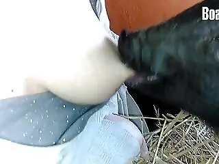 Zoo porn and zoo sex video