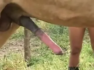 Red Zoo XXX Sex Porn