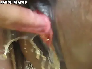Zoophilia porn and animal sex