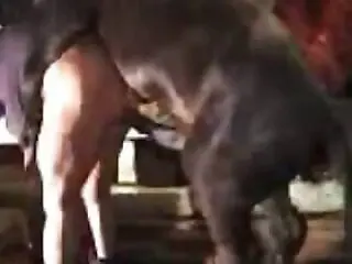 Animal Sex Porn Tube