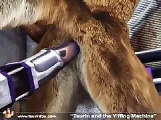 Zoo Xporn