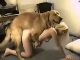 Zoo Xporn
