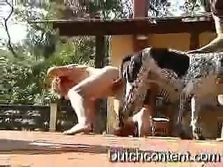 Sex Animals
