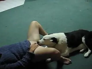 Dog sex