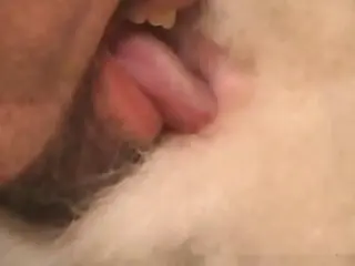 Animal Porn