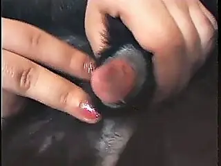 Free zoo porn tube