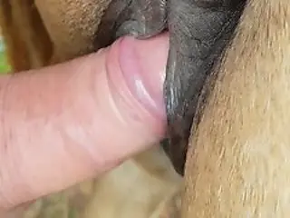 FreePornZoo