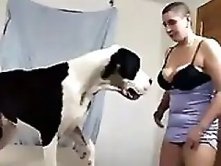 Animal porn and bestiality