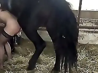 Zoo porno and bestiality