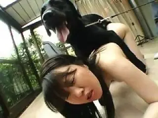 XXX Zoo video