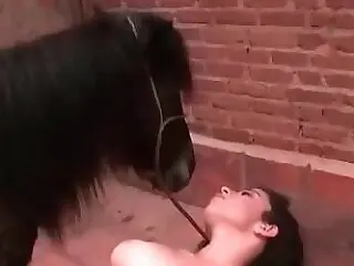 Bestiality Video
