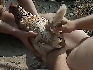 Real Zoo Sex