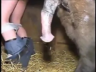 ZOO Porn and bestiality tube