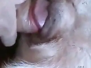 Horses Porn