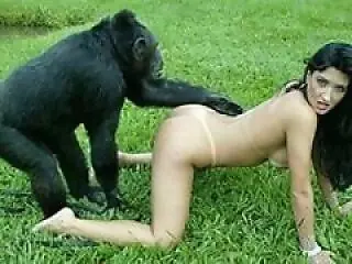 Animal porn videos and ZOO PORN