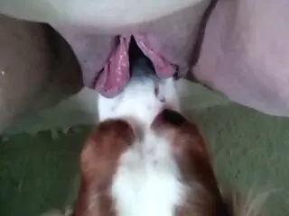 XXX bestiality zoo porn