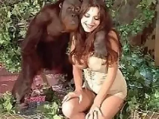 Monkey Animal Porn