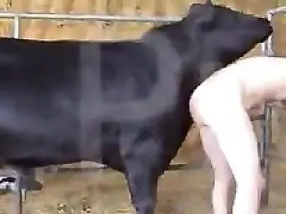 Free bestiality and zoophilia porn