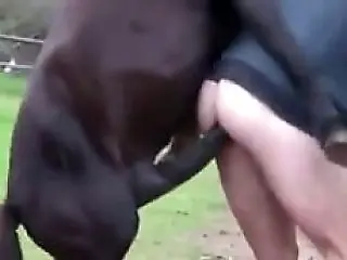 Free zoo porn tube