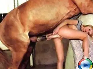 Animal Porn