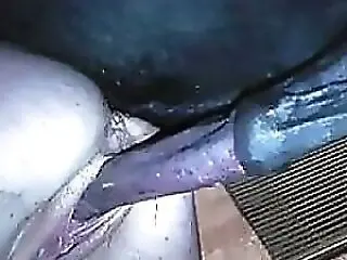 Animal porn and zoo sex
