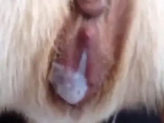 XXX Bestiality Porn