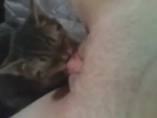 Animal Sex Porn Tube