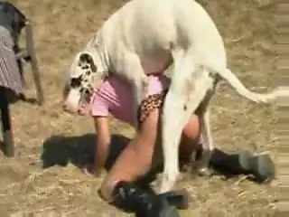 Free bestiality and zoophilia porn