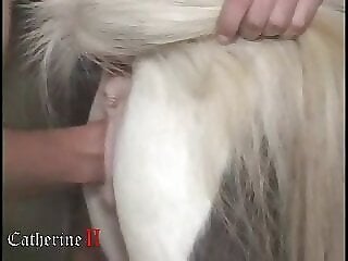 Animal Sex Porn Tube