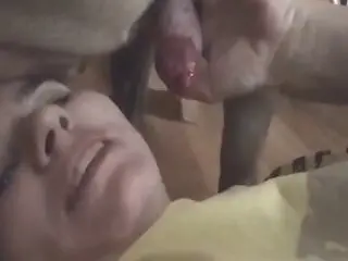 XXX Animal Porn