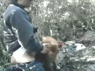 PornBbestiality