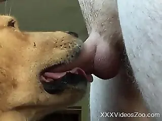 XXXVideosZoo