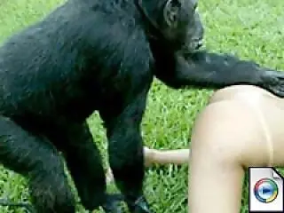 Red Zoo XXX Sex Porn