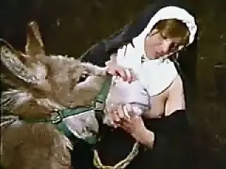 Zoo Animal Sex