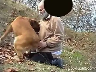 Animal Sex Porn Tube