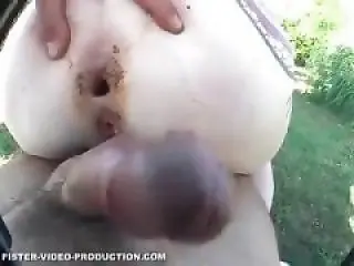 Animal Porn