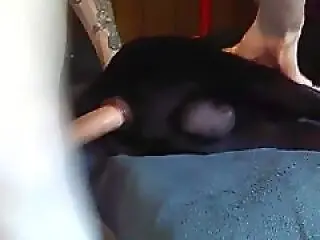 Zoo porno and bestiality