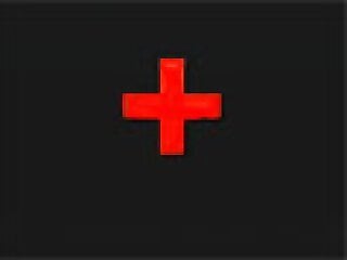 Zoo Porn Videos - Best Animal Sex Clips HD