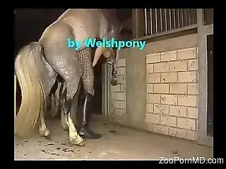 ZoopornMD