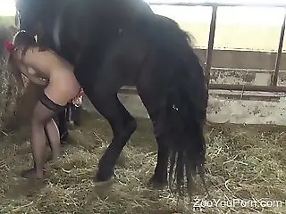 zoopornyou