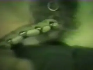 Zoo porno and bestiality