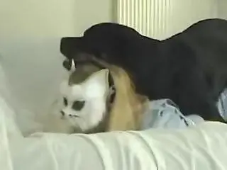 Free zoo porn tube