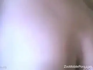 Horse porn and anal sex for a gay man on fire
