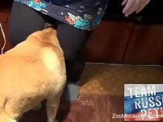 Slim woman loves to tape herself when sucking the hound's cock